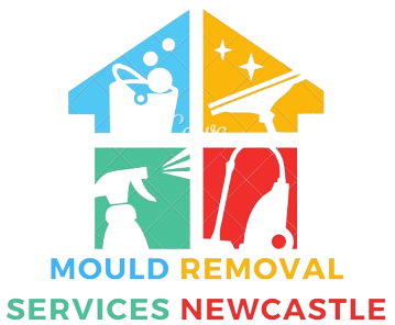 Mould Removal Newcastle