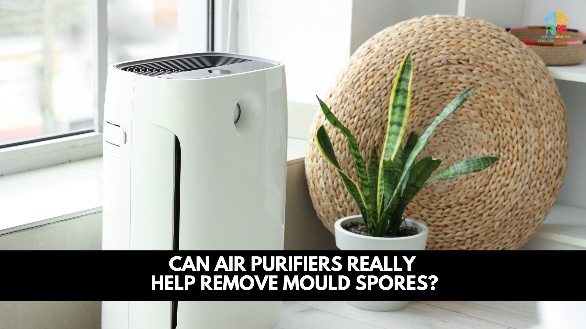 Can Air Purifiers Really Help Remove Mould Spores?