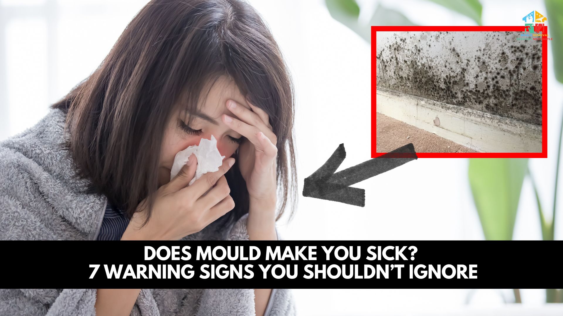 Does Mould Make You Sick?